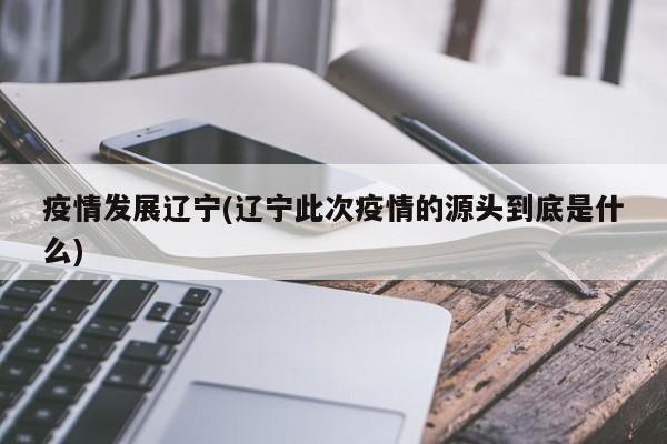 疫情发展辽宁(辽宁此次疫情的源头到底是什么)
